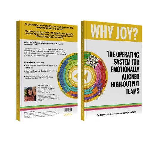 Why Joy Book Cover